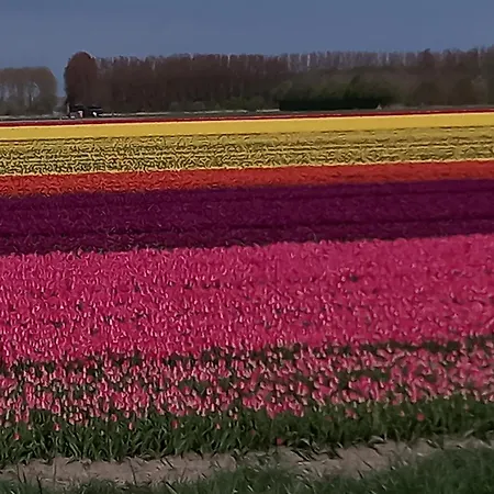 לינה וארוחת בוקר Klooster Achthuizen