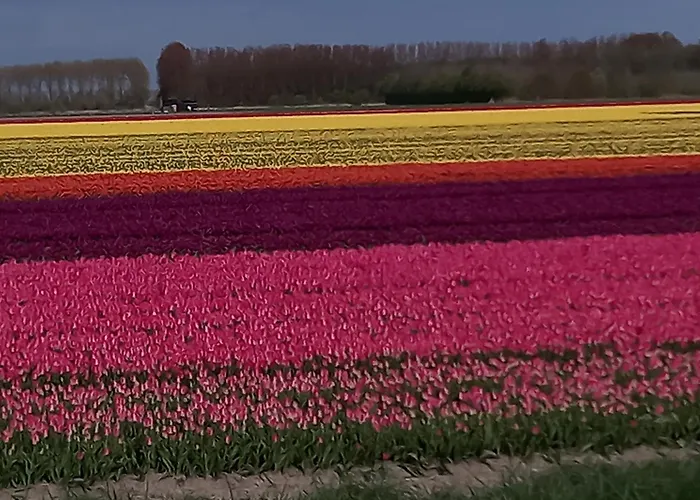 לינה וארוחת בוקר Klooster Achthuizen